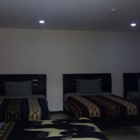 The Backpacker Hostal 이바라 외부 사진