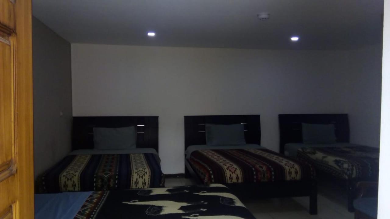 The Backpacker Hostal 이바라 외부 사진
