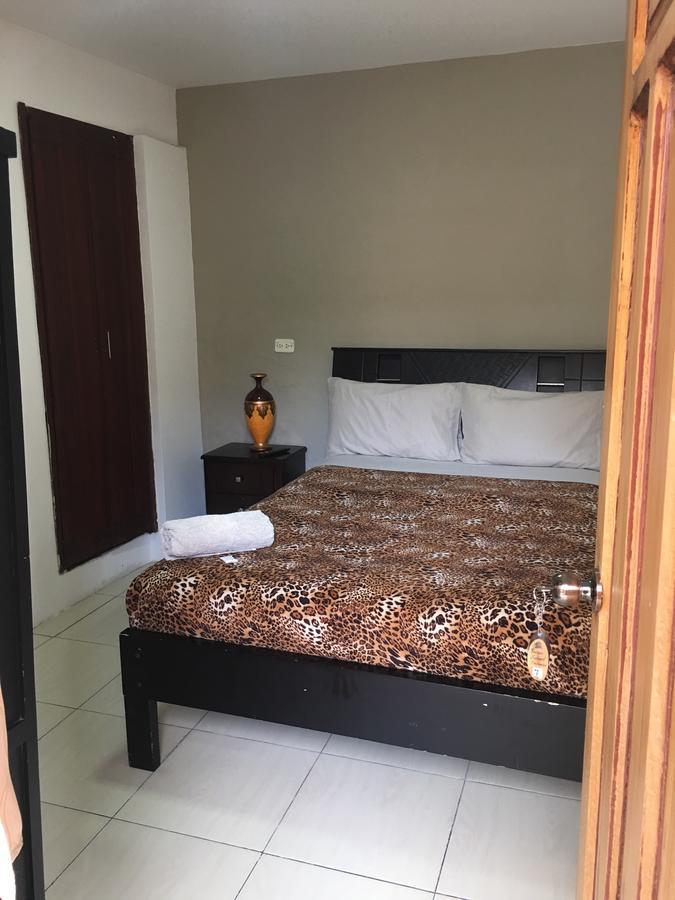 The Backpacker Hostal 이바라 외부 사진