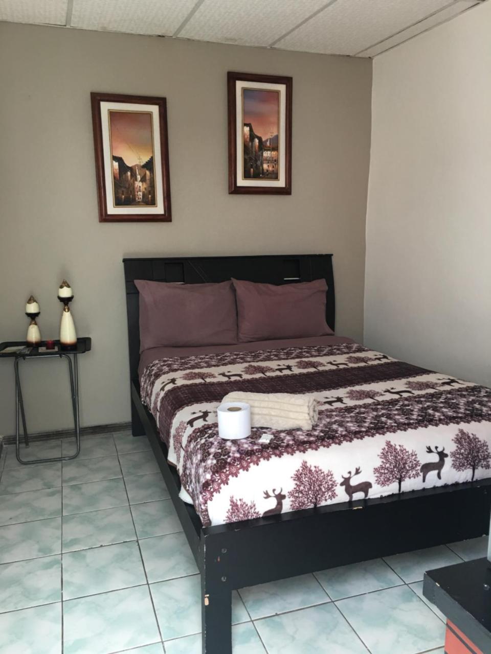 The Backpacker Hostal 이바라 외부 사진