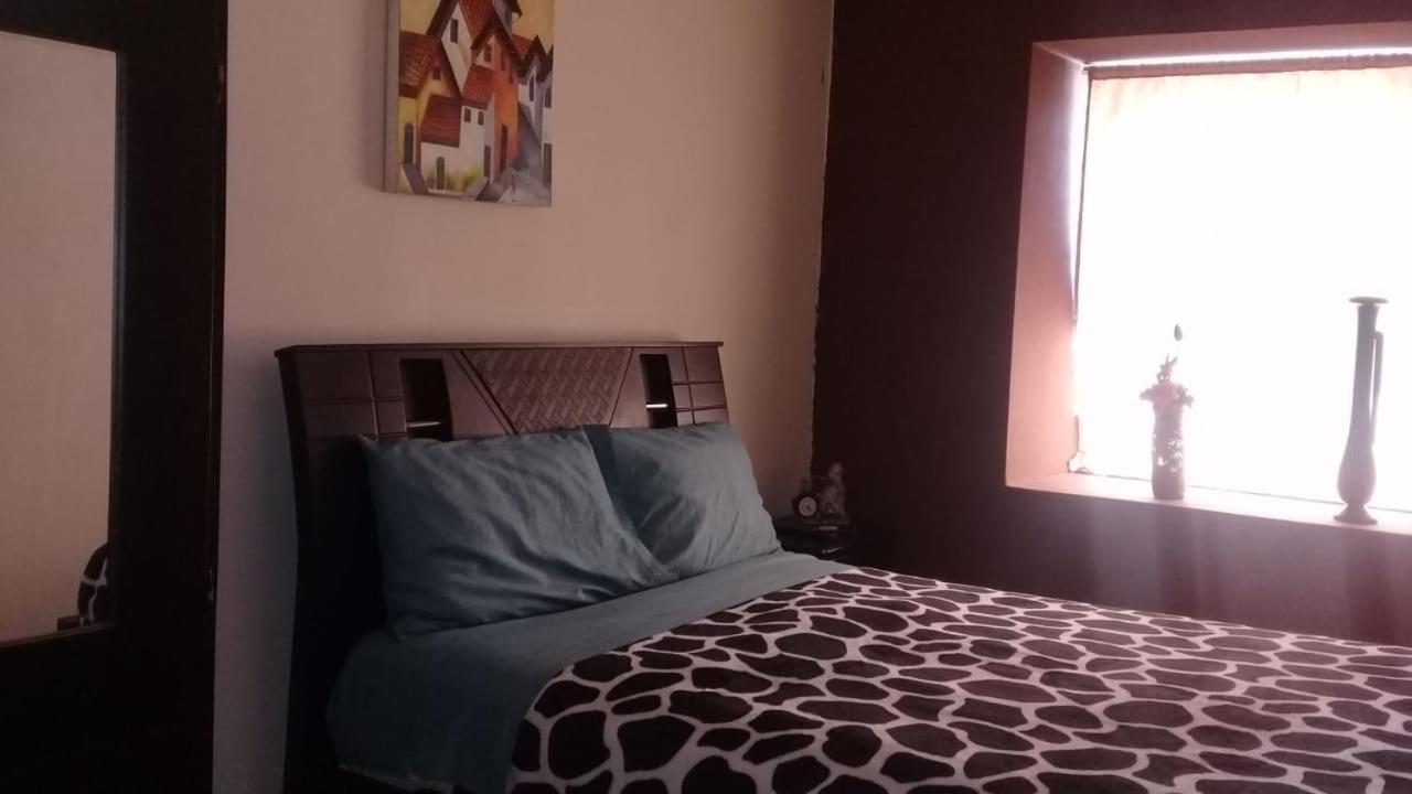 The Backpacker Hostal 이바라 외부 사진