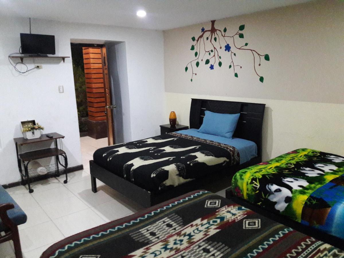 The Backpacker Hostal 이바라 외부 사진
