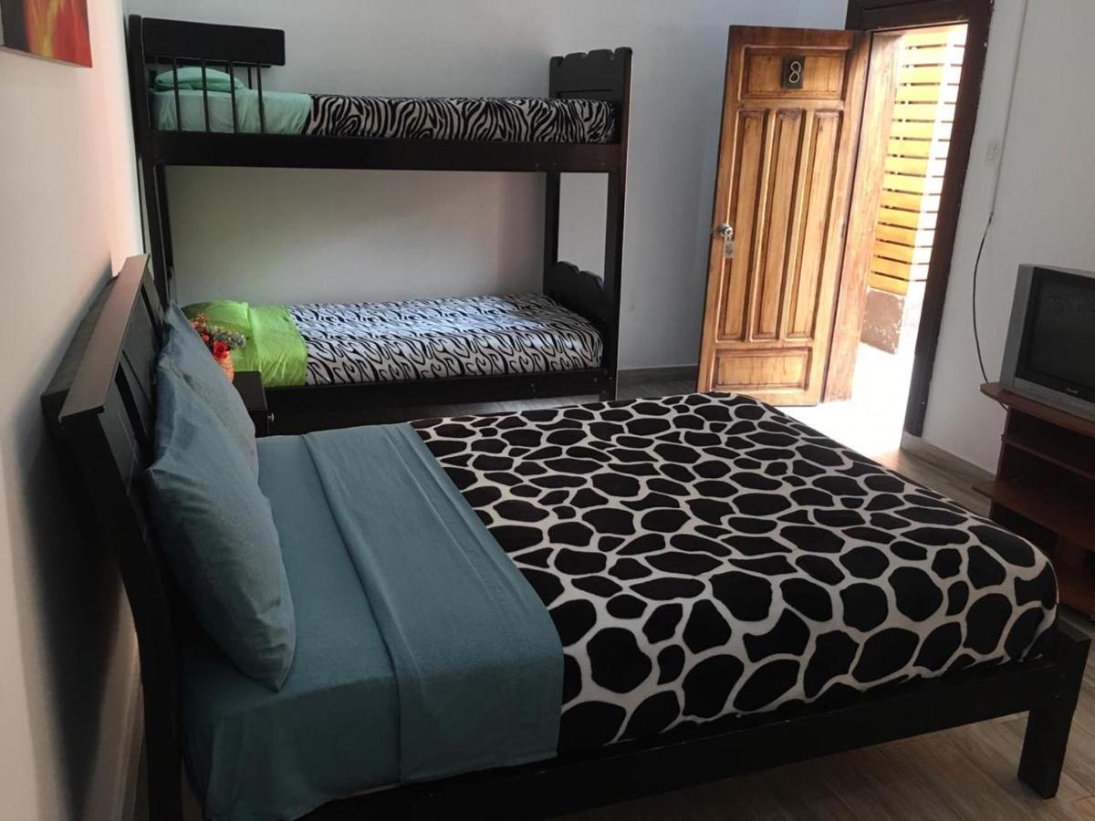 The Backpacker Hostal 이바라 외부 사진
